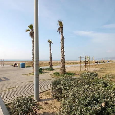 Lets Holidays New Flat Beachfront In